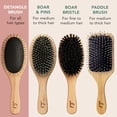 thumbnail image 5 of Detangler Brush Hair Brush - Hair Brushes for Women, Mens Hair Brush, Kids Hair Brush, Use With Hair Products, Wet or Dry Detangling Brush, Hair Detangler Bristle Brush, Bamboo Hair Brush (1 pack), 5 of 7