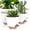 White, variant on 5 Pack Self Watering Plant Pots, 10/9/8/7.5/7 Inch Large Plastic Planters with Drainage Holes, Water Level Indicator & Deep Reservoir, Flower Pots for Indoor Outdoor Garden Plants(Green)