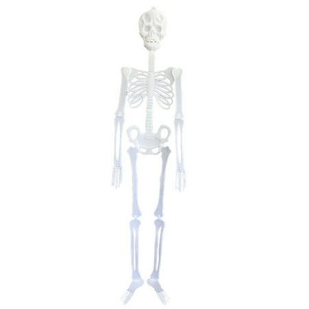 

GZKN Portable Skull Prop Attractive Plastic Funny Halloween Luminous Skeleton Body Toy Sculpture for Festival