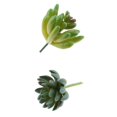 thumbnail image 1 of artificial, , flor de decoración , artificial, flor artificial Baoblaze Planta suculenta artificial, 1 of 8