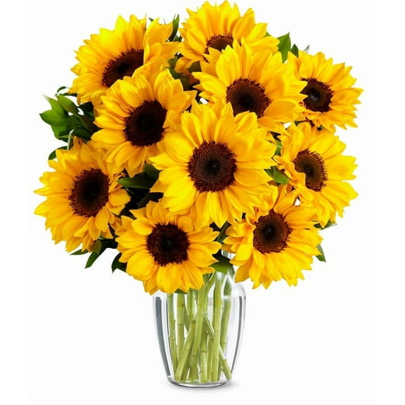 From You Flowers - Stunning Sunflowers - Premium for Birthday, Anniversary, Get Well, Congratulations, Thank You, All Occasions