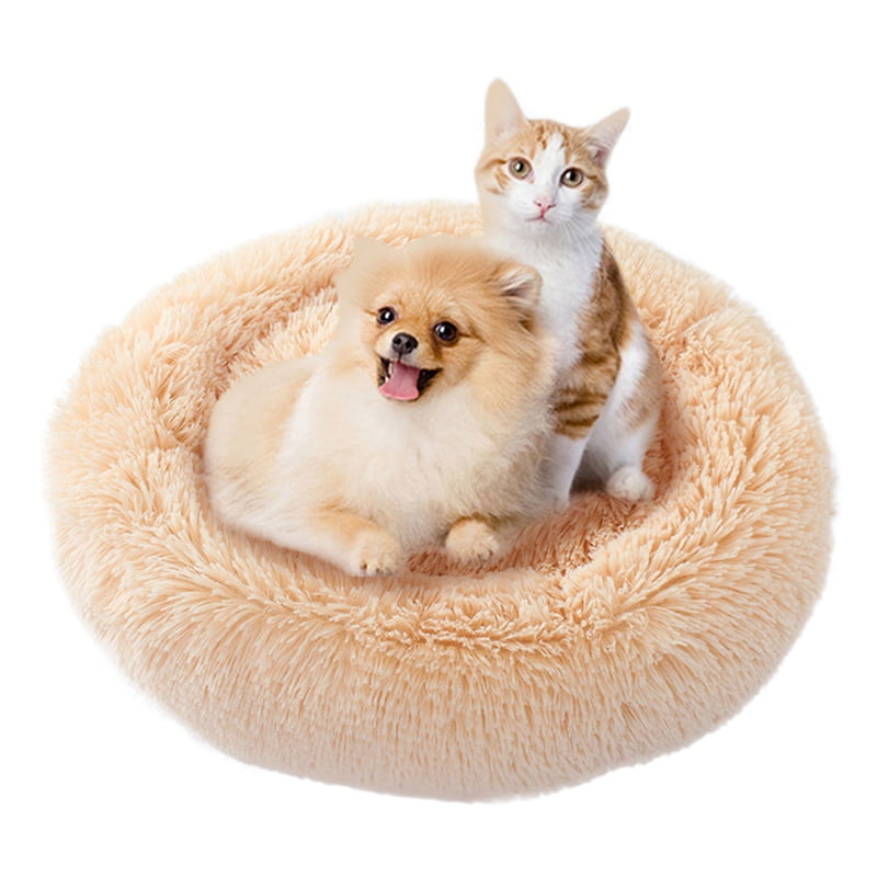 big fluffy dog bed