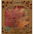 thumbnail image 2 of Sisson Parchment Leaves, Fall, Set of 20, 2 of 2