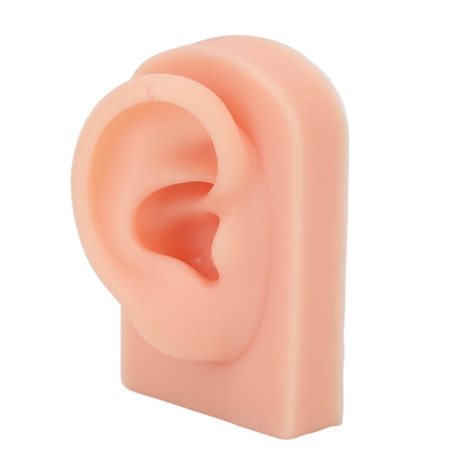 Silicone Human Ear Model, Easy To Use Soft Comfortable Right Ear Fake Ear Model For Headphones Display For Ear Training Light Complexion,Dark Complexion,Brown