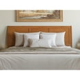 thumbnail image 4 of King Bed Frame with Charging Station - Solid Wood Sleigh Headboard, Light Toffee Finish, 4 of 6