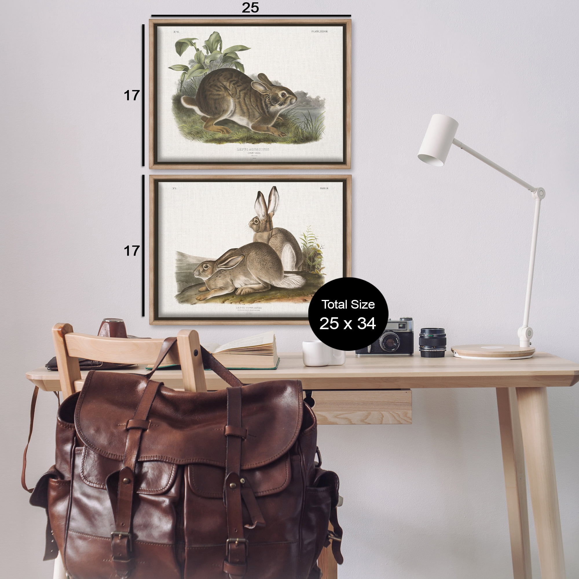 Stupell Industries Gentle Resting Cottage Rabbit Animals Painting Brown Floater Framed Canvas Art Print Wall Art, 25 x 17, Set of 2