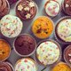 thumbnail image 4 of Paquete de 400 forros estándar para cupcakes (colores aleatorios) TUNC Sencillez, 4 of 4