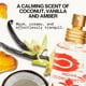 thumbnail image 2 of Perfume Indian Coconut Nectar Pacifica 1 oz Spray, 2 of 5