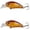 a, variant on Bisitoy 2Pcs Drop Shot Fishing Lures Set with Finesse Worm for Pressured Bass