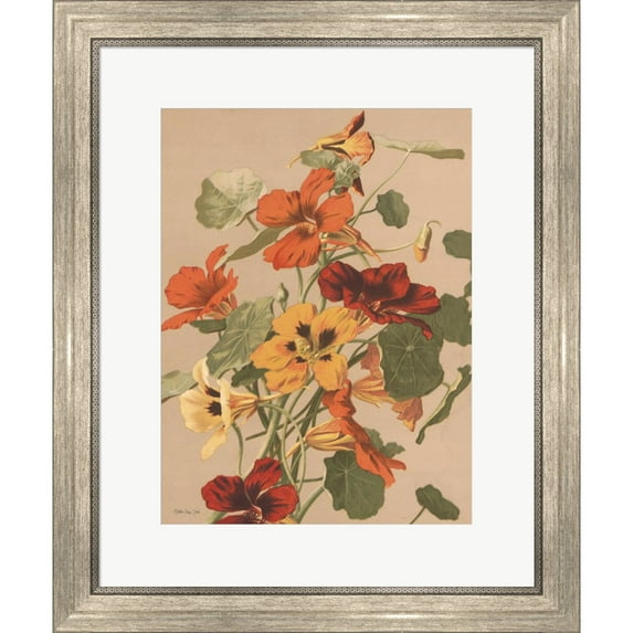 Great Art Now Antique Botanical Collection 2 by Stellar Design Studio, Framed Wall Art, 20W x 24H