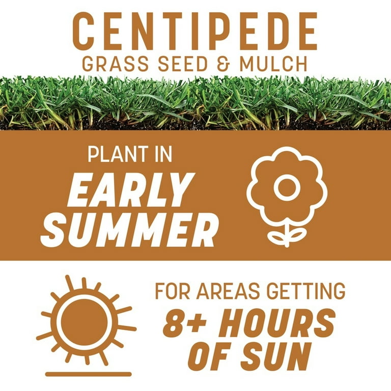 Pennington Centipede Grass Seed with Mulch; 5 lbs., for Full Pennington Centipede Grass Seed with Mulch; 5 lbs., for Full