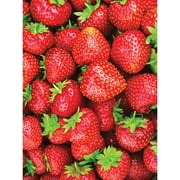 Proven Winners 1.5G Strawberry Hanging Basket