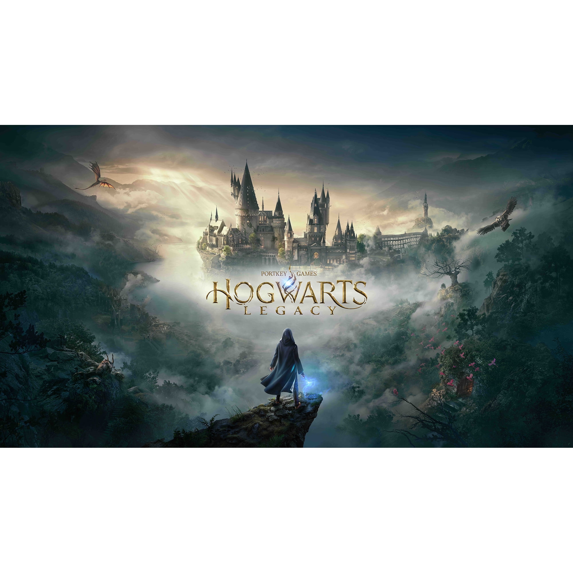 Harry Potter - Manette Switch Sans Fil Câble 1M - 4 Maisons - Films/Harry  Potter - Hogwarts Legacy - Goodies Pop
