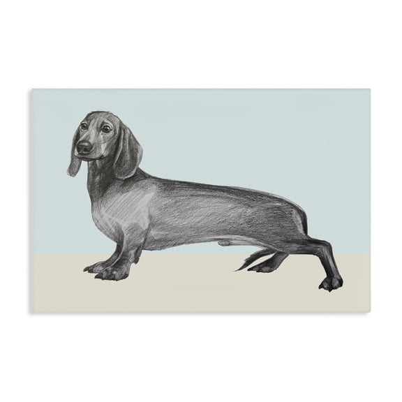 Stupell Industries Modern Sketched Dachshund on Blue Canvas Art, 24 x 16, by Violeta Vollmer