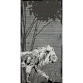 thumbnail image 2 of OnRei 18x32 Gold Ornate Wood Framed with Double Matting Museum Art Print Titled - Grey Lion, 2 of 4
