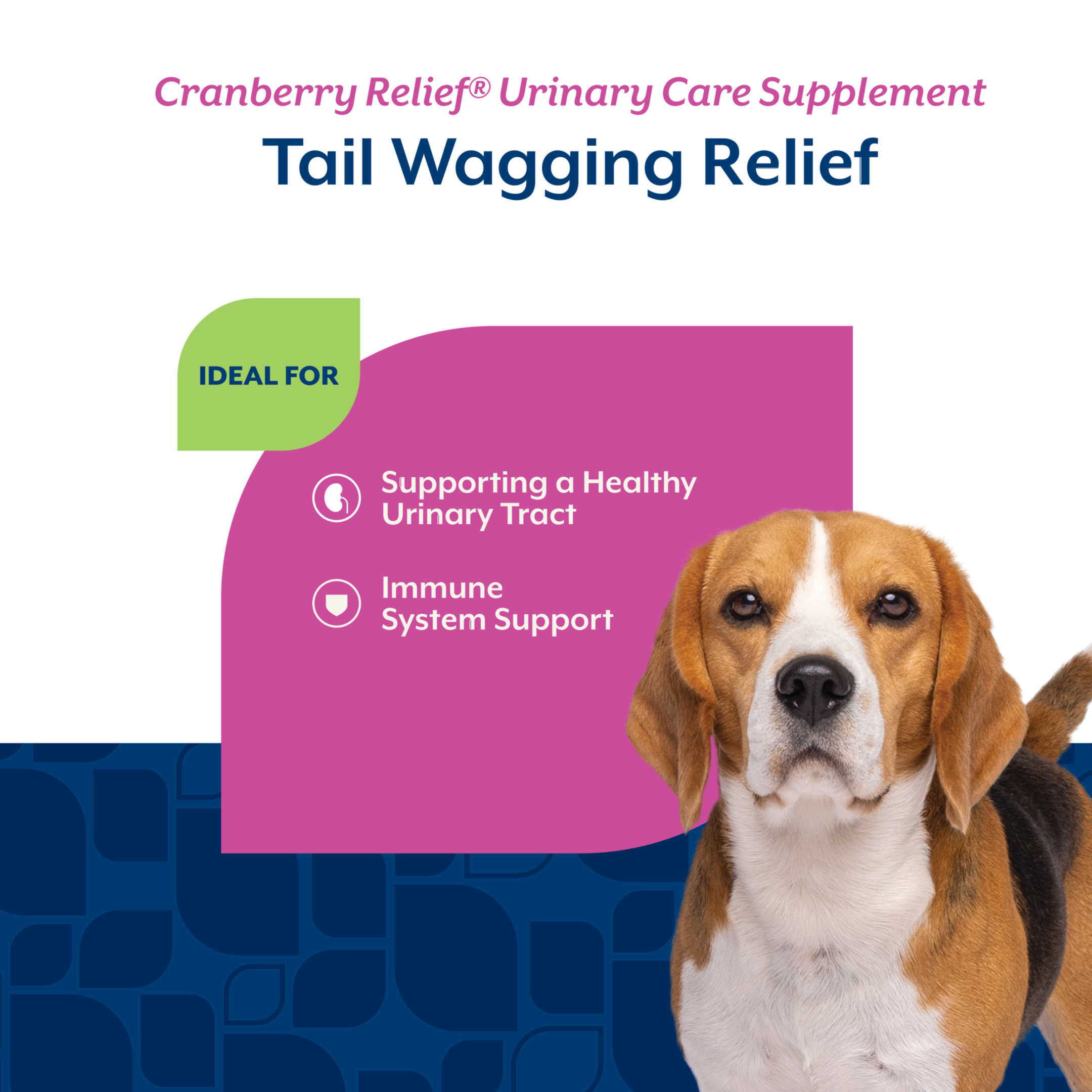 NaturVet Cranberry Relief Urinary Care Supplements for Dogs, Bacon & Chicken Flavor, 120 Count