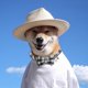 thumbnail image 2 of 2X Dog Collars with Bell and Bow Tie Cute Plaid Collars with Soft Bowknot and Adjustable Buckle for Dogs Cats Pets Red Gray Size S, 2 of 5