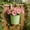 Green, variant on Flower Pots, Metal Iron Hanging Flower Plants Pots, Balcony Garden Plants Planter Baskets, Fence Bucket Pot, 4'' Flower Holders with Drainage Holes, Home Decoration