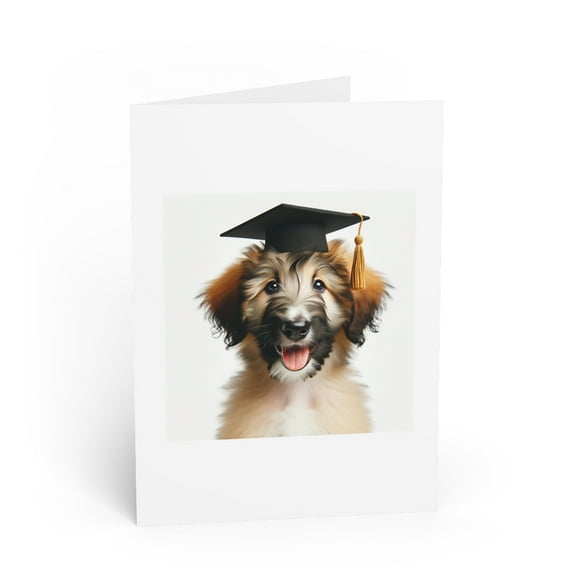 DistinctInk Greeting Card / Note Card - Berger Picard Puppy Graduation - PACK of 3