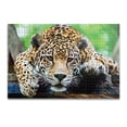 thumbnail image 2 of ROMPECABEZAS 1000PZAS CH JAGUAR, 2 of 3