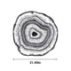 thumbnail image 3 of Cocina Alfombra de Piso Grande Árbol Alfombra Todo el Año, Dormitorio Familiar, Estudio Al Aire Libre, Alfombra Circular de Balcón, Alfombra de Piso Lavable Antideslizante (80cm Circular) Alfombras De, 3 of 7