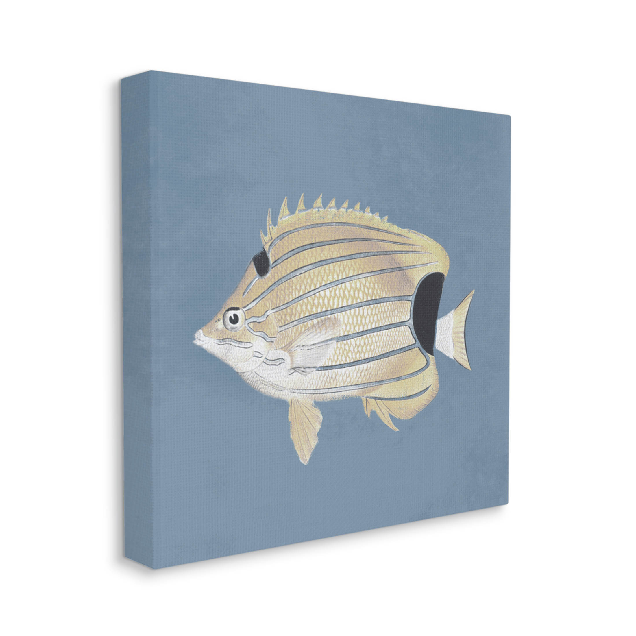 Striped Fish Portrait Blue Background Animals & Insects Graphic Art Gallery Wrapped Canvas Print Wall Art