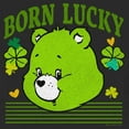 thumbnail image 2 of Toddler's Care Bears St. Patrick's Day Good Luck Bear Clover  Graphic Tee Black 4T, 2 of 3