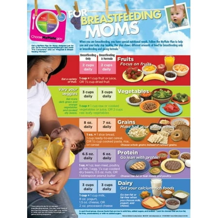 Learning Zone Poster - MyPlate for Breastfeeding Moms Poster Laminated Poster - 18x24