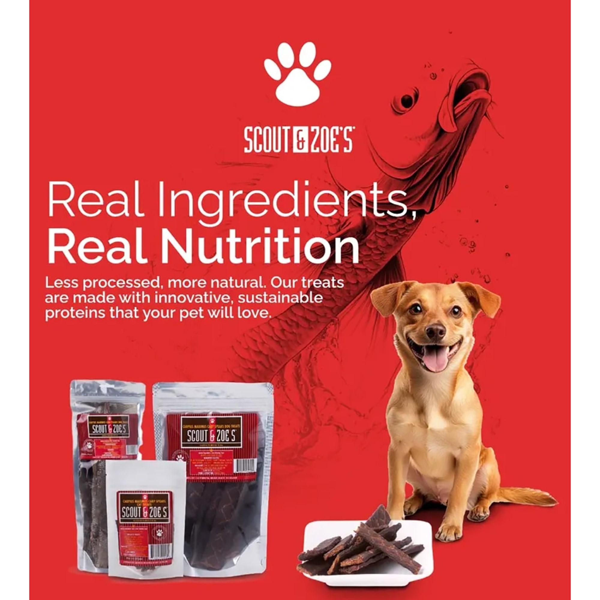 Scout & Zoe's: Duck Delights Jerky - 4oz Dog Treats, Limited Ingredient Superfood Blend, Chia-Pomegranate-Kale-Pumpkin, Nutritious Grain-Free Pet Chew
