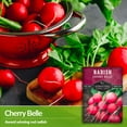 thumbnail image 2 of 3 Packs Cherry Belle Radish Seeds - Non-GMO Heirloom Full Sun Biennial Vegetable, 2 of 6
