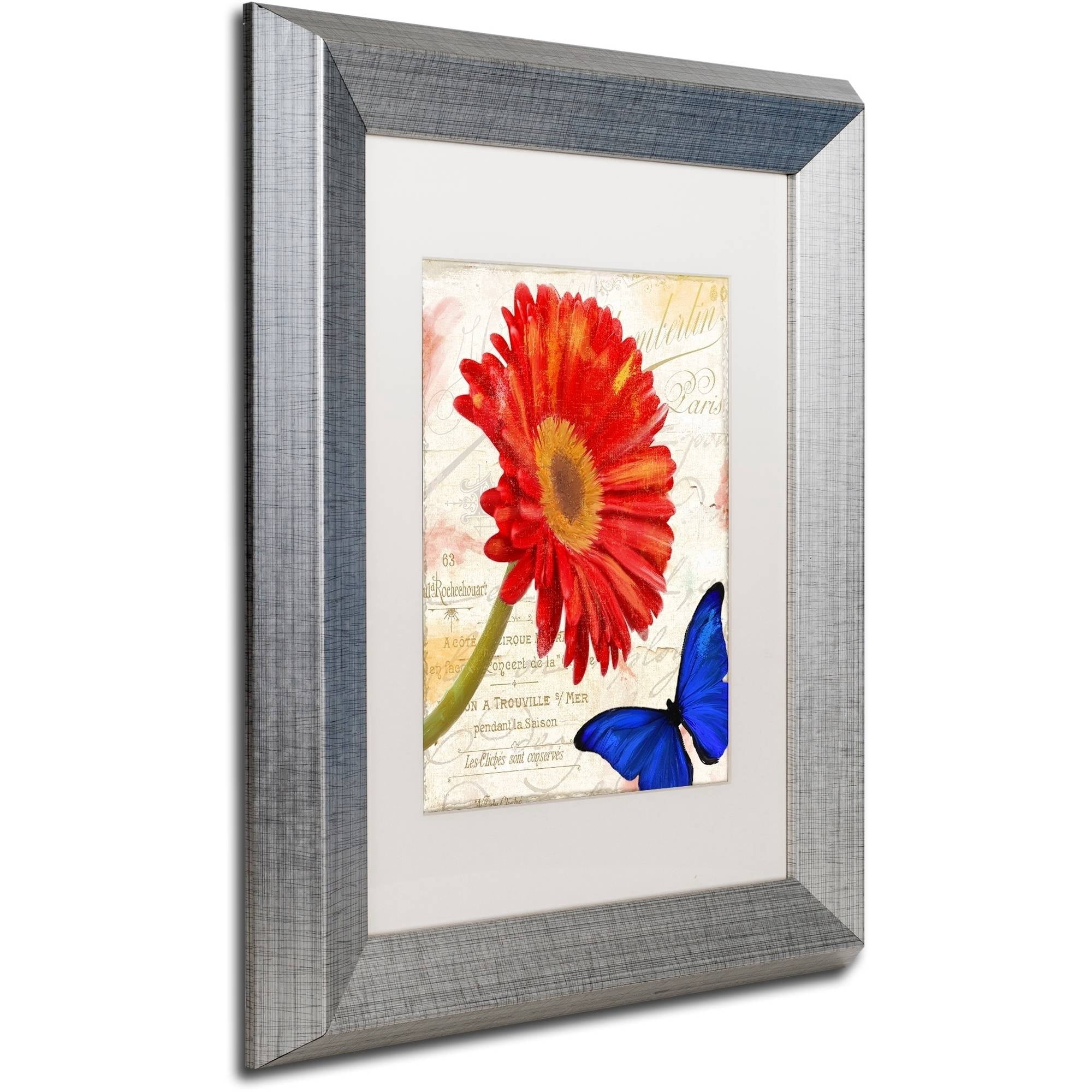 Trademark Fine Art "Gerbera Daisy" Canvas Art by Color Bakery White Matte, Silver Frame
