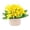 D, variant on Ohmyroo Artificial Floral Bouquet 8.7in Multicolor Plastic Centerpiece With Vase Desktop Ornament