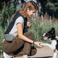 thumbnail image 2 of Clearance!Bolsa para perros con clicker de entrenamiento, mejorada con cierre magnético para evitar derrames, riñonera de silicona con cinturón, adecuada para entrenamiento de mascotas, 2 of 7
