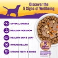 thumbnail image 3 of Wellness Complete Health Stew Adult Canned Wet Dog Food, Grain Free, Natural, Venison and Salmon Recipe, 12.5 oz, Pack of 12 Cans, 3 of 7