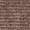 Brown/Ivory, variant on SAFAVIEH Cabana Rado Bordered Indoor/Outdoor Area Rug