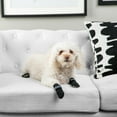 thumbnail image 2 of Pet Life ® Anti-Slip Rubberized Gripped Breathable Stretch Pet Dog Socks - Set of 4, 2 of 5