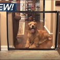 thumbnail image 1 of Valla para perros, red de aislamiento plegable portátil para mascotas, red de seguridad protectora sin perforaciones para el hogar, 1 of 5
