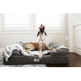 PetFusion Ultimate Dog Bed & Lounge Jumbo XXL with solid Memory Foam