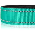thumbnail image 4 of Joytale Collar Reflectante para Perros, Collar para Mascotas De Nailon Transpirable Acolchado De Neopreno Suave, Ajustable para Perros Grandes,Verde Azulado,L, 4 of 5