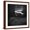 Brown Frame, variant on Art.com Weeki Wachee Spring, Florida Photo by Toni Frissell, White Frame Wall Art, 21" x 21"