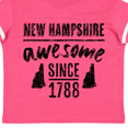 thumbnail image 4 of Inktastic New Hampshire Awesome Since 1788 Boys or Girls Toddler T-Shirt, 4 of 5