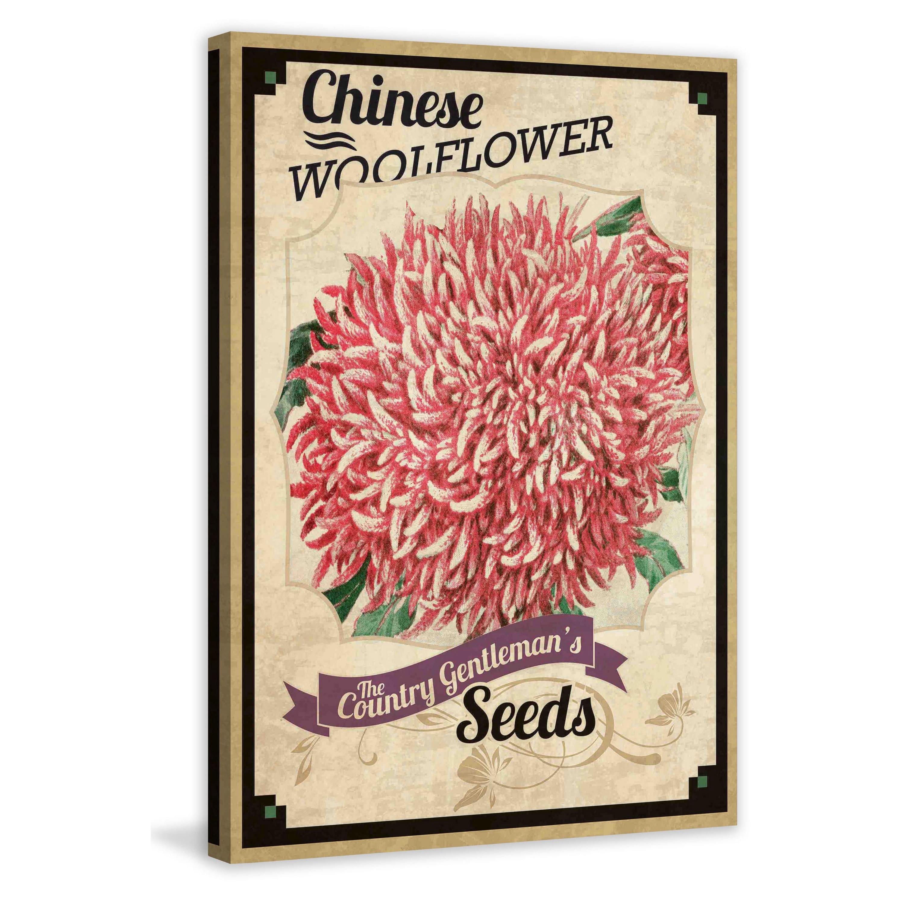Marmont Hill "Flower Packet Woolflower" Painting Print on Canvas