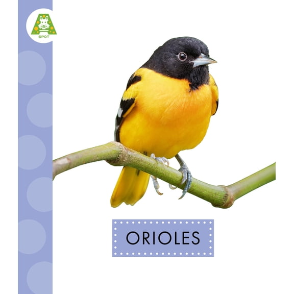 Spot Backyard Birds Orioles, (Paperback)