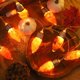 thumbnail image 5 of Luces de cadena LED Ganfancp de Bombilla Arce, 5 of 7