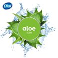 thumbnail image 4 of Dial Aloès Healthy & Sensitive Nettoyant pour le Corps, 473ml, Testé sous Contrôle Dermatologique, Sans Silicones, Parabènes, Phtalates, SLS, 4 of 9