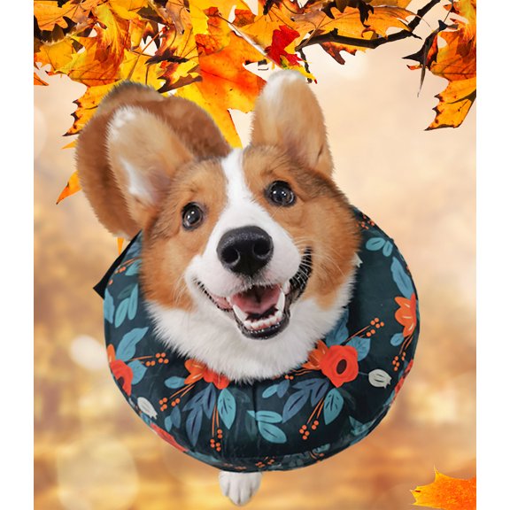 Purrrfect Life Protective Inflatable Collar for Dogs and Cats - Soft Pet Recovery Collar Does Not Block Vision, Prevents Pets from Touching Stitches, Wounds and Rashes