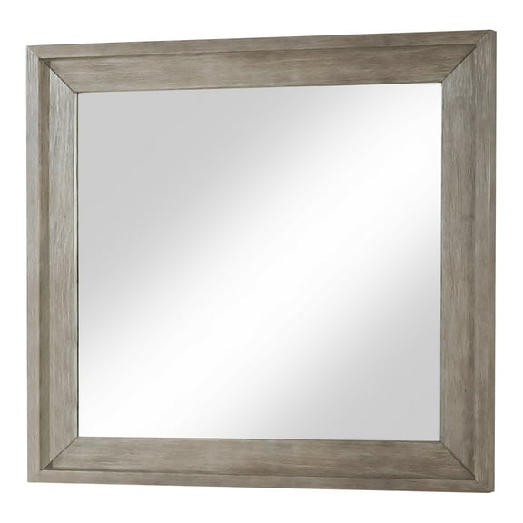 Furniture of America Reign Transitional Rectangle Mirror, Warm Gray