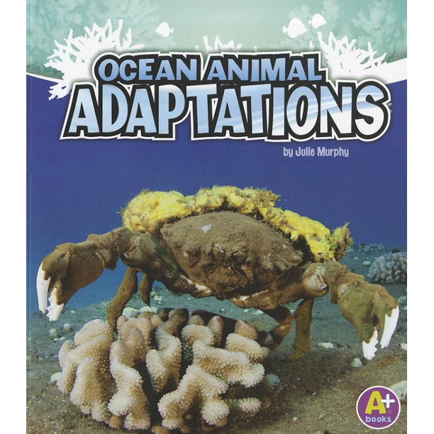 A+ Books Amazing Animal Adaptations Ocean Animal Adaptations