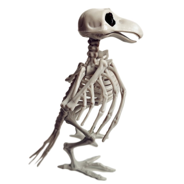 Halloween Animal Skeleton Bones Horror Simulation Skeleton Halloween Party Decoration
