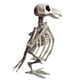 thumbnail image 1 of Esqueleto de animales de Halloween, huesos, simulación de terror, esqueleto, decoración de fiesta de Halloween, 1 of 8
